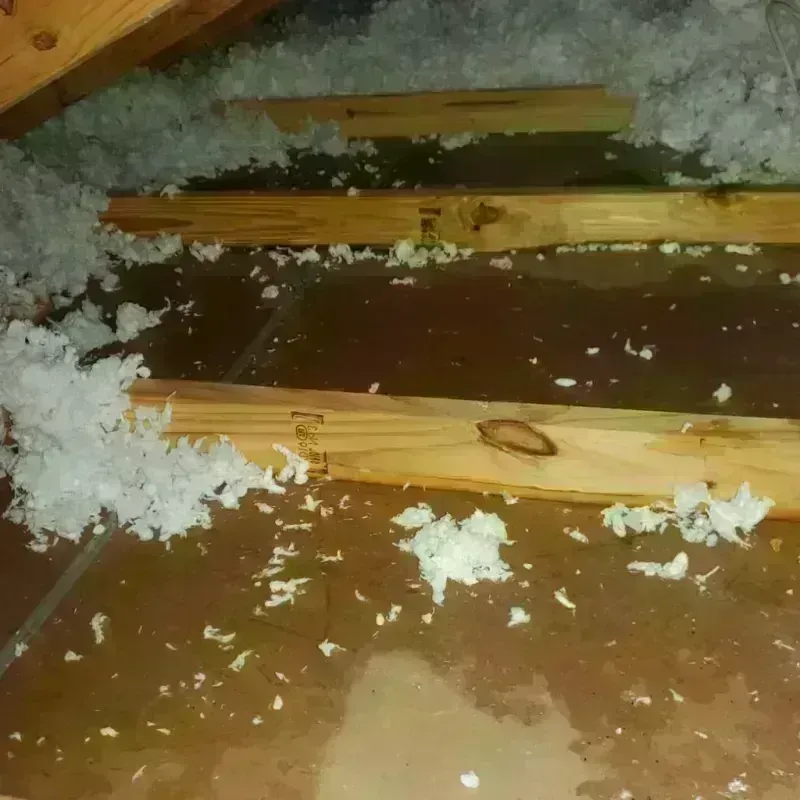 Attic Water Damage in Manhattan, KS