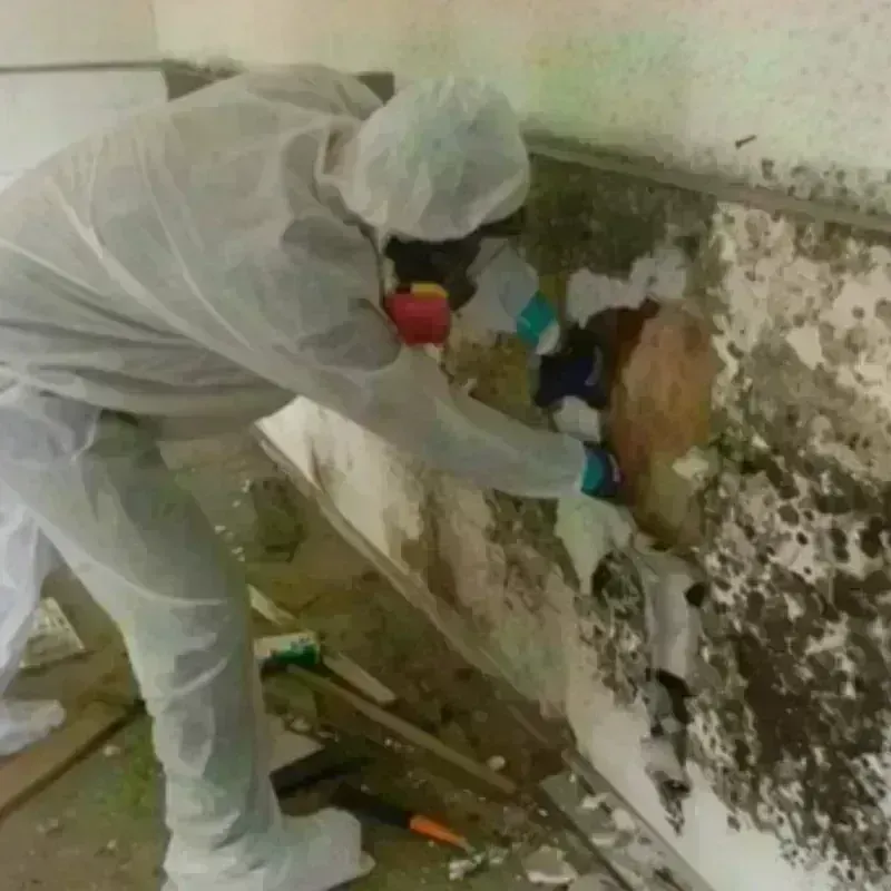 Mold Remediation and Removal in Manhattan, KS