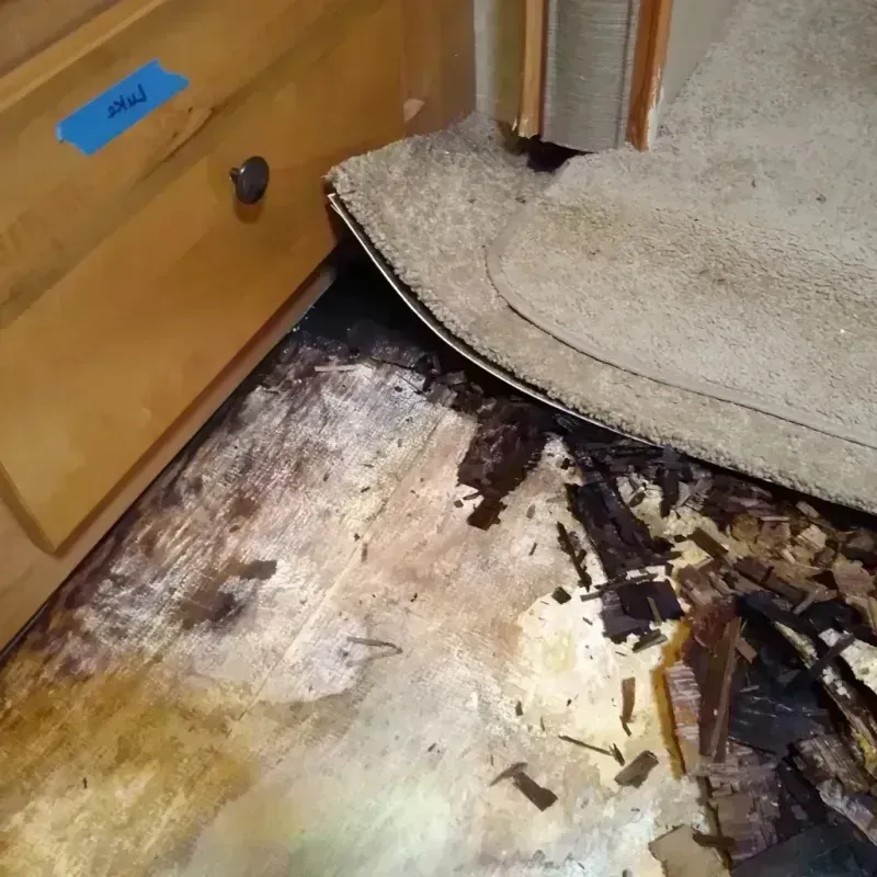 Wood Floor Water Damage in Manhattan, KS